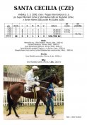 Santa_cecilia-00w