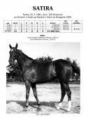 Satira-81w