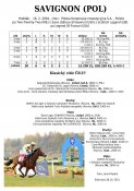 Savignon_pol_04w