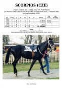 Scorpios-00w