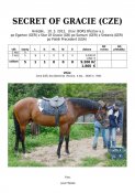 Secret_of_gracie-12w