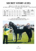Secret_story-97w