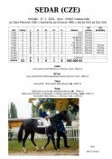 Sedar-01-dm