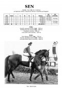 Sen-81-agytroszt-w