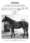 Senora-74w