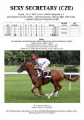 Sexy_secretary-07w