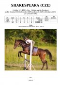 Shakespeara-02w