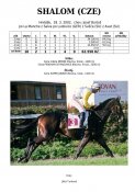 Shalom-02w