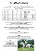 Shaman-04w
