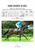 She_daisy-12w