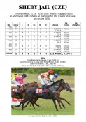 Sheby_jail-10w