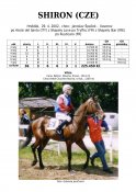 Shiron-02-ads-w