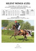 Silent_wings-07w