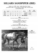Sillars-sandpiper-ire-87w