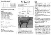 Sirano21