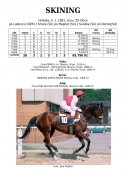 Skining-91w