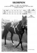 Skorpion-87w