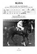Slava-87w
