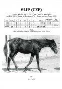 Slip-93w