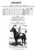 Smarty-82-at-w