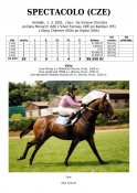Spectacolo-01-dm