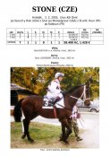 Stone-03w