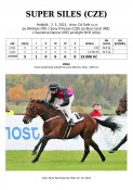 Super-siles-21w