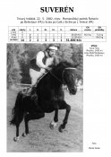 Suveren-82w