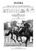 Svatka-87w