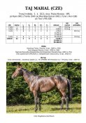 Taj_mahal-13w