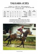 Talgara-96-dm