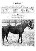 Tamani-82w