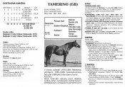 Tamerino21