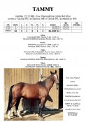 Tammy-88w