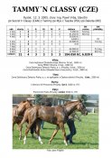 Tammyn_classy-05w
