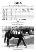 Tarex-86w