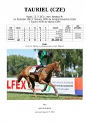Tauriel-15w