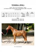 Temida-pol-07w