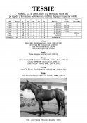 Tessie-88-agadir-w