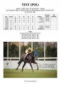 Test-pol-09w