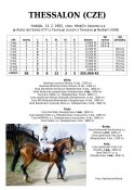 Thessalon-92-ads-w