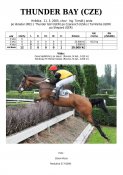 Thunder_bay-05w