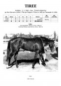Tiree-91-rs-w