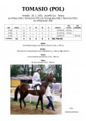 Tomasio-pol-01-alhijaz-w