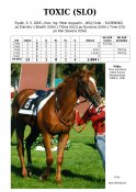 Toxic-slo-05w