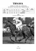 Trnava-82w