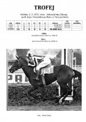 Trofej-72w