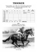 Trooker-87_rh-w