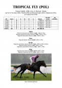 Tropical-fly-pol-09w