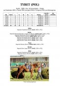 Tybet-pol-08w